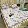 set-ga-goi-modal-hoa-nen-tim-sggmd-008