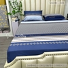 set-ga-goi-modal-hoa-tiet-sggmd-009
