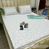 set-ga-goi-tencel-hoa-sggtc-008