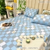 set-ga-goi-modal-caro-sggmd-020