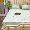 set-ga-goi-modal-hoa-sggmd-021