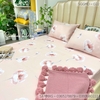 set-ga-goi-modal-hoa-nen-hong-sggmd-022
