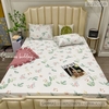 set-ga-goi-tencel-hoa-la-nen-trang-sggtc-019