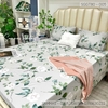set-ga-goi-tencel-80s-hoa-nen-ghi-sggt80-005