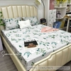 set-ga-goi-tencel-80s-hoa-nen-ghi-sggt80-005