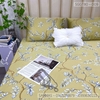 set-ga-goi-tencel-80s-la-nen-vang-sggt80-009