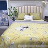 set-ga-goi-tencel-80s-la-nen-vang-sggt80-009