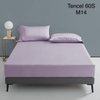 set-ga-goi-tencel-60s-tim-sggtc60-14