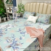 set-ga-goi-tencel-80s-hoa-la-nen-xanh-sggt80-012