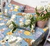 set-ga-goi-cotton-sggct47