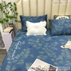 set-ga-goi-tencel-80s-la-nen-xanh-sggt80-021