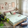 set-ga-goi-cotton-qua-chanh-sggct107