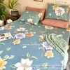 set-ga-goi-cotton-hoa-nen-xanh-sggct44