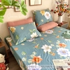 set-ga-goi-cotton-hoa-nen-xanh-sggct44