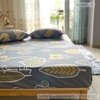 set-ga-goi-cotton-han-la-nen-xam-sgghq-13