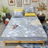 set-ga-goi-cotton-han-tu-cau-xam-sgghq-16