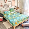 set-ga-goi-cotton-cay-xanh-sggct125