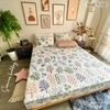 set-ga-goi-cotton-la-sac-mau-sggct129