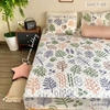 set-ga-goi-cotton-la-sac-mau-sggct129
