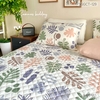 set-ga-goi-cotton-la-sac-mau-sggct129