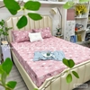 set-ga-goi-tencel-smart-cuu-sggtcs-01