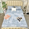 set-ga-goi-tencel-smart-la-nen-xanh-sggtcs-03