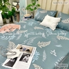 set-ga-goi-tencel-smart-la-duong-xi-sggtcs-07