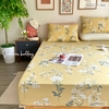 set-ga-goi-cotton-hoa-nen-vang-sggct144