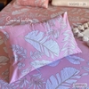 set-ga-goi-cotton-han-la-nen-hong-sgghq-26