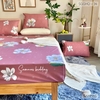 set-ga-goi-cotton-han-mau-don-nen-hong-sgghq-34