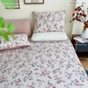 set-ga-goi-cotton-hong-day-leo-sggct189