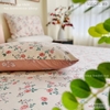 set-ga-goi-cotton-hong-day-leo-sggct189