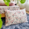 set-ga-goi-cotton-hong-day-leo-sggct189