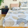 set-ga-goi-cotton-la-mua-thu-sggct194