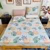set-ga-goi-cotton-la-rung-nhiet-doi-sggct202