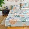 set-ga-goi-cotton-la-rung-nhiet-doi-sggct202