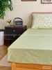 set-ga-goi-cotton-la-nhi-com-sggct205