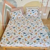 set-ga-goi-chan-bong-khung-long-cute-sggcb124