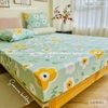 set-ga-goi-cotton-hoa-xanh-ikea-sggct257