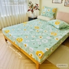 set-ga-goi-cotton-hoa-xanh-ikea-sggct257