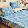 set-ga-goi-cotton-la-duong-xi-xanh-sggct260