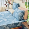 set-ga-goi-cotton-la-duong-xi-xanh-sggct260