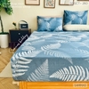 set-ga-goi-cotton-la-duong-xi-xanh-sggct260