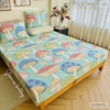 set-ga-goi-cotton-nam-sac-mau-sggct262