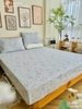 set-ga-goi-cotton-hoa-dong-noi-sggct274