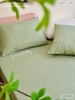 set-ga-goi-cotton-cham-bi-xanh-la-sggct278