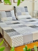 set-ga-goi-cotton-o-vuong-den-trang-sggct289