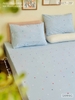 set-ga-goi-cotton-sao-sac-mau-sggct297