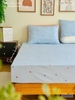set-ga-goi-cotton-sao-sac-mau-sggct297