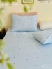 set-ga-goi-cotton-sao-sac-mau-sggct297